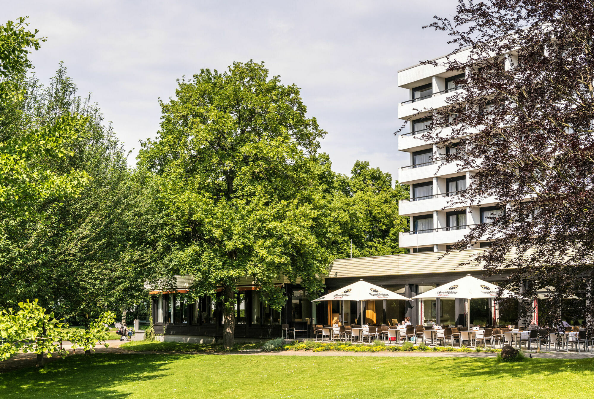 Dorint Parkhotel Bad Neuenahr Exterior photo